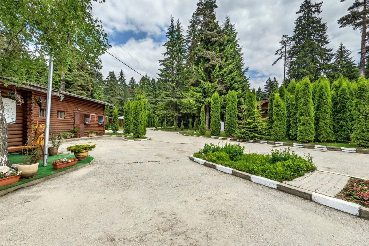 Комплексы для отдыха с коттеджами/бунгало Villas Jagoda & Malina Боровец-34