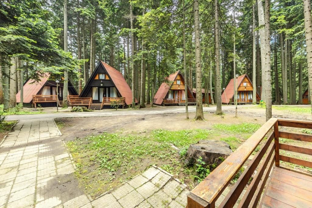 Комплексы для отдыха с коттеджами/бунгало Villas Jagoda & Malina Боровец-52